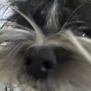 Meet your Posher, Baby_